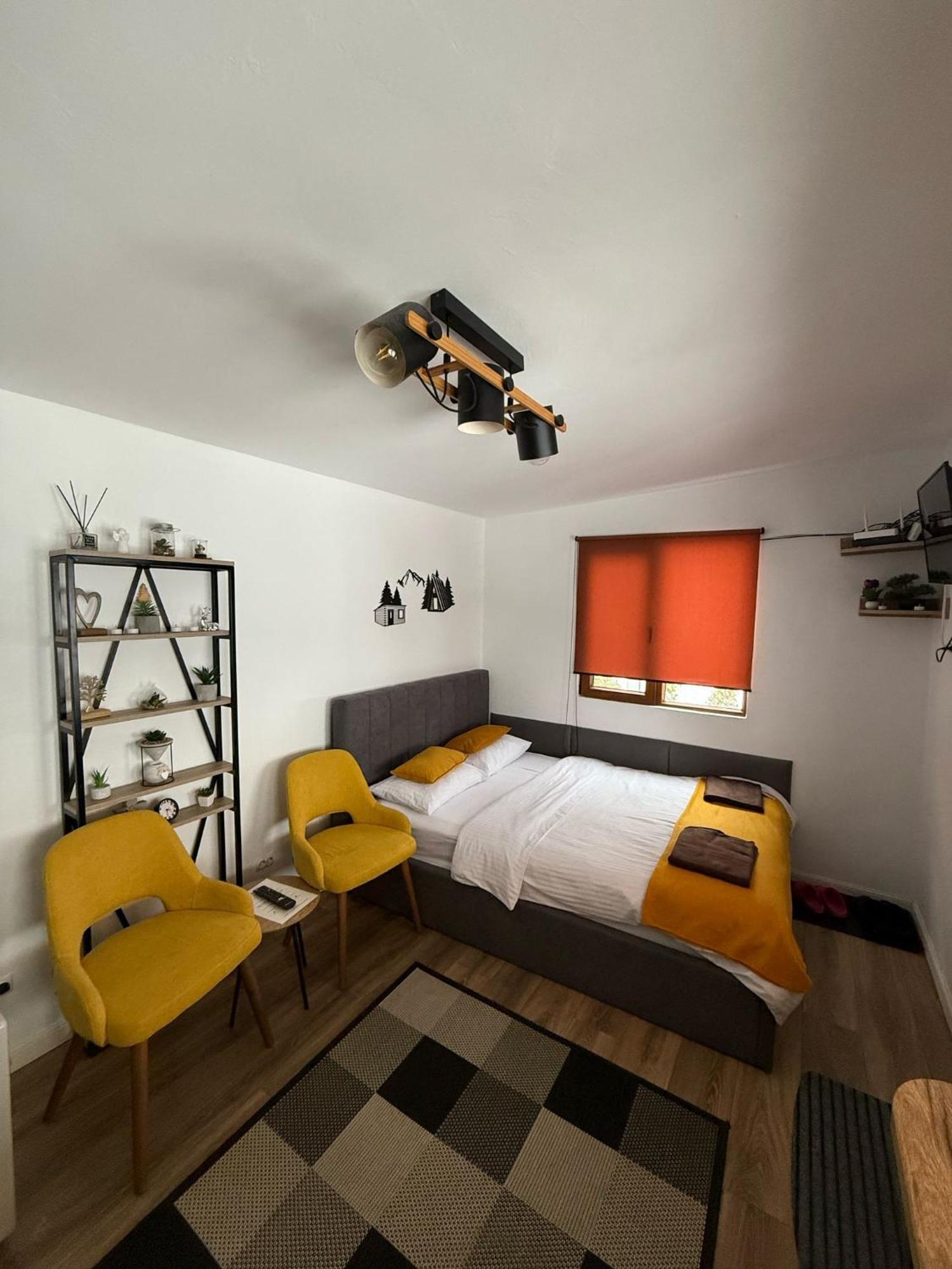 فيلا Tiny House Colibiţa المظهر الخارجي الصورة